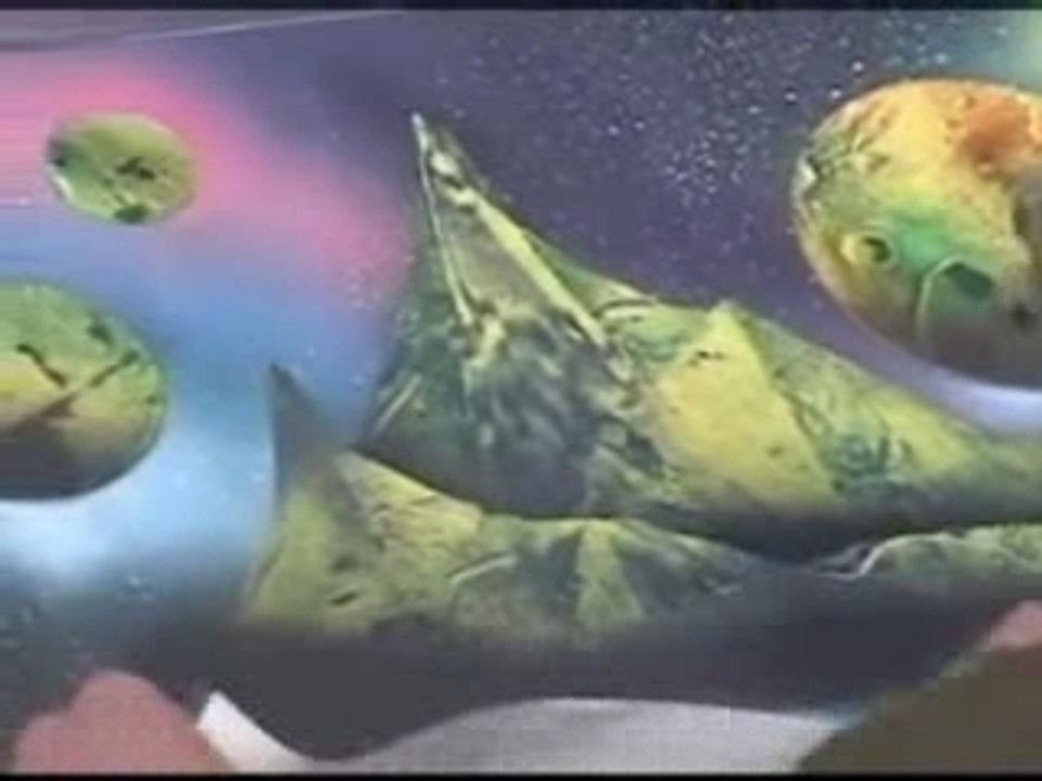 Création d'1 peinture a la bombe