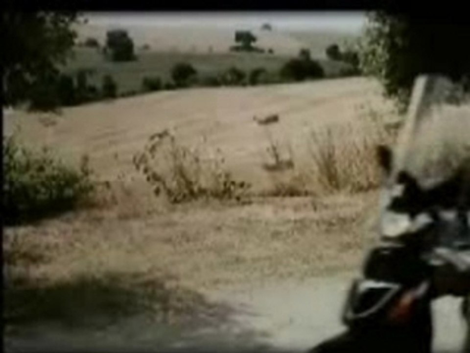 L'heure des couilles de l'ane