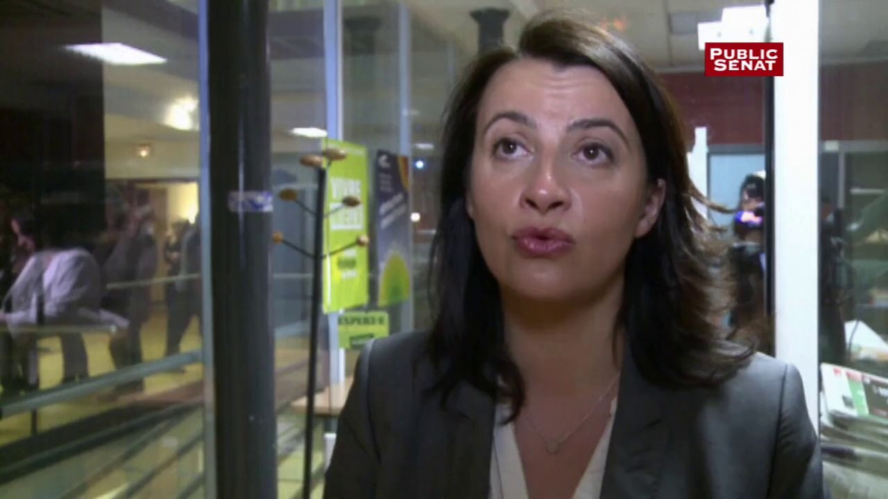 Cécile Duflot : "la quasi-totalité des listes écologistes progressent"