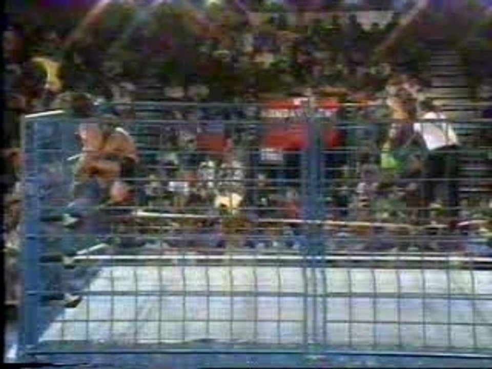 Steiners vs Money Inc Cage