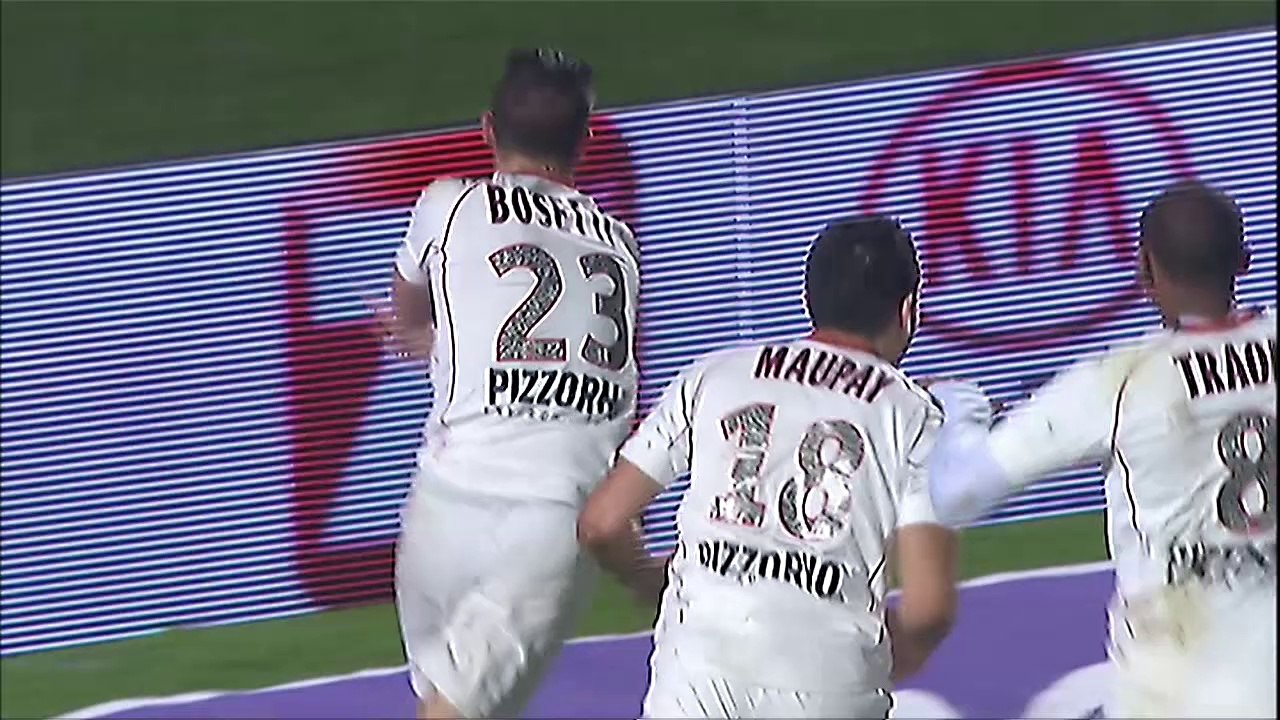Ligue 1 - Tous les buts de la 30ème journée - 2013/2014
