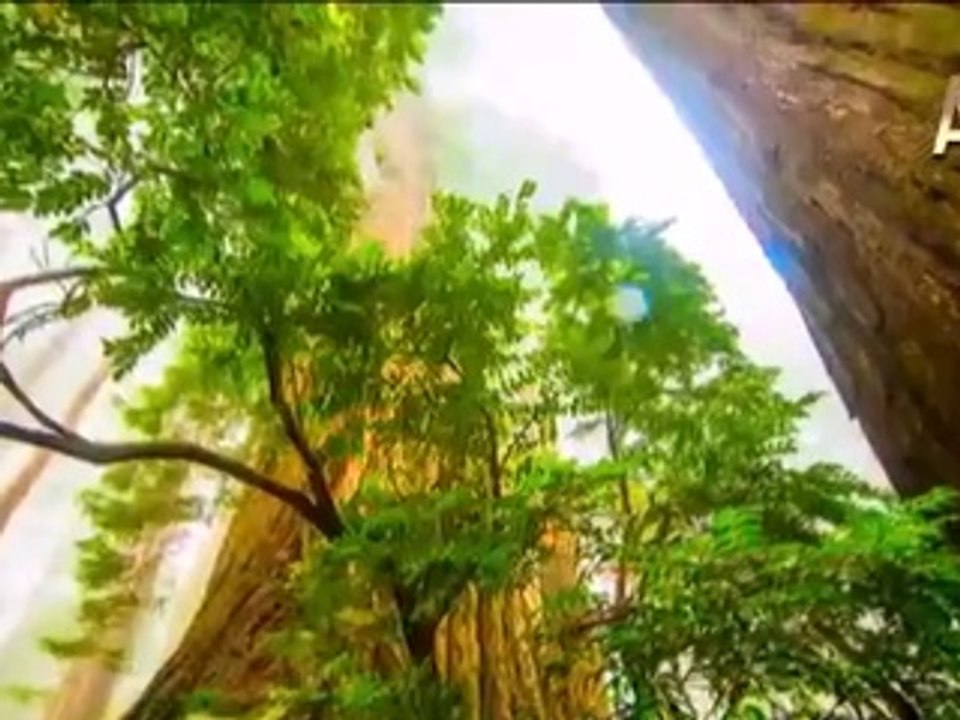 Nisa Suresi, 158. ayette geçen "Bel" edatı arapça dilbilgisine göre Hz. İsa (as)'ın Allah Katına diri olarak yükseltildiğinin delilidir