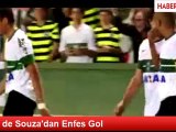 Alex de Souza'dan Enfes Gol