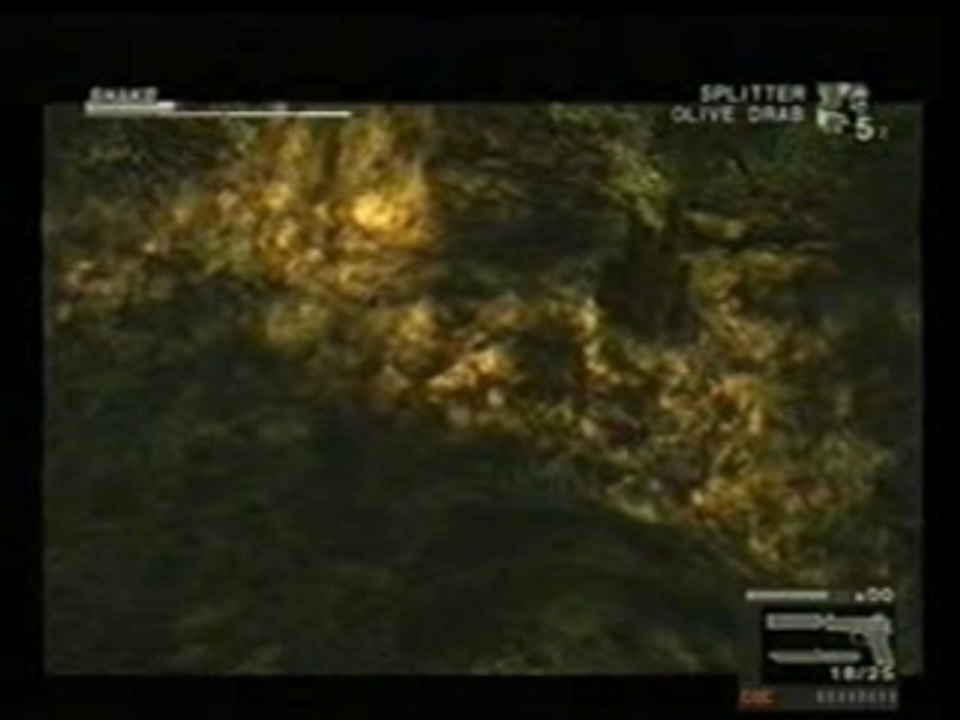 MetalGearSolid3_EuExtreme_FoxHound_12946