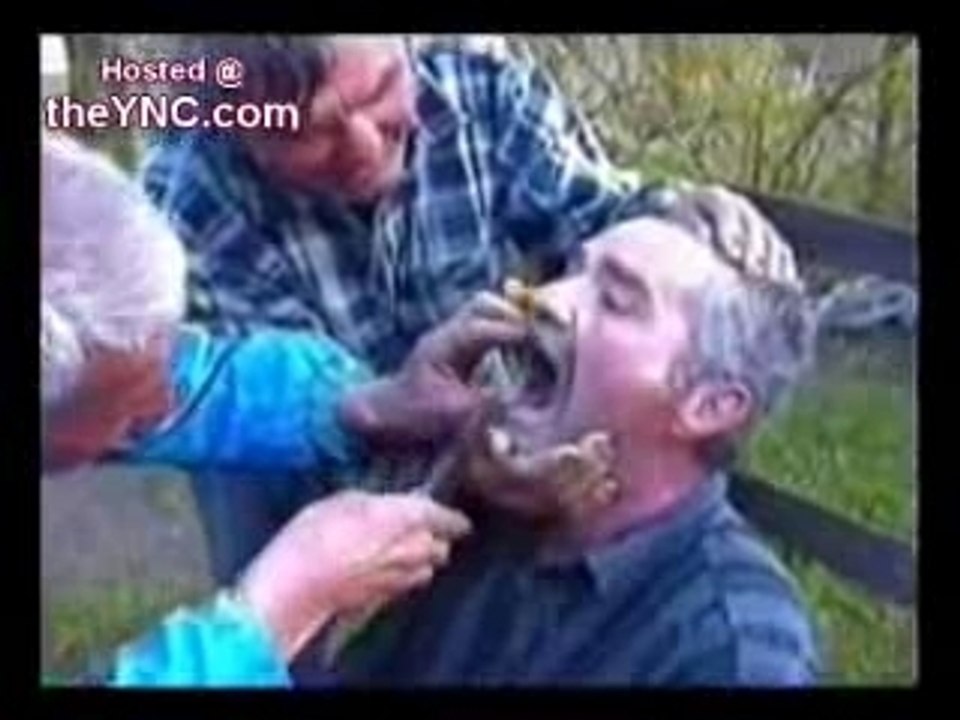 Dentiste hongrois