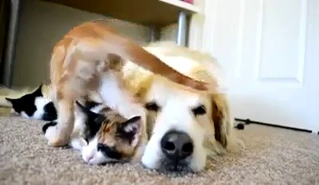 Its Very Nice Video