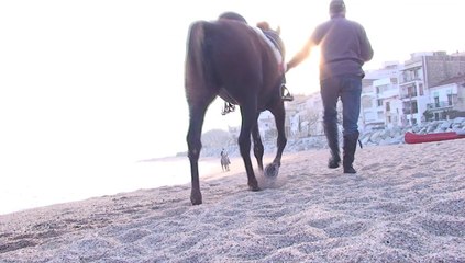 Video Musical.  Grabación y edición videoclips en Barcelona.  Realizador, video cámara