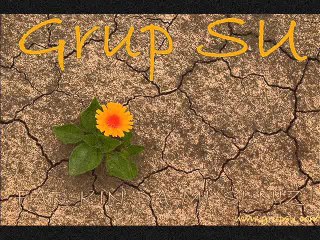 Grup SU 2014 Umut SÜLÜNOĞLU "Suya Gider Allı Gelin"