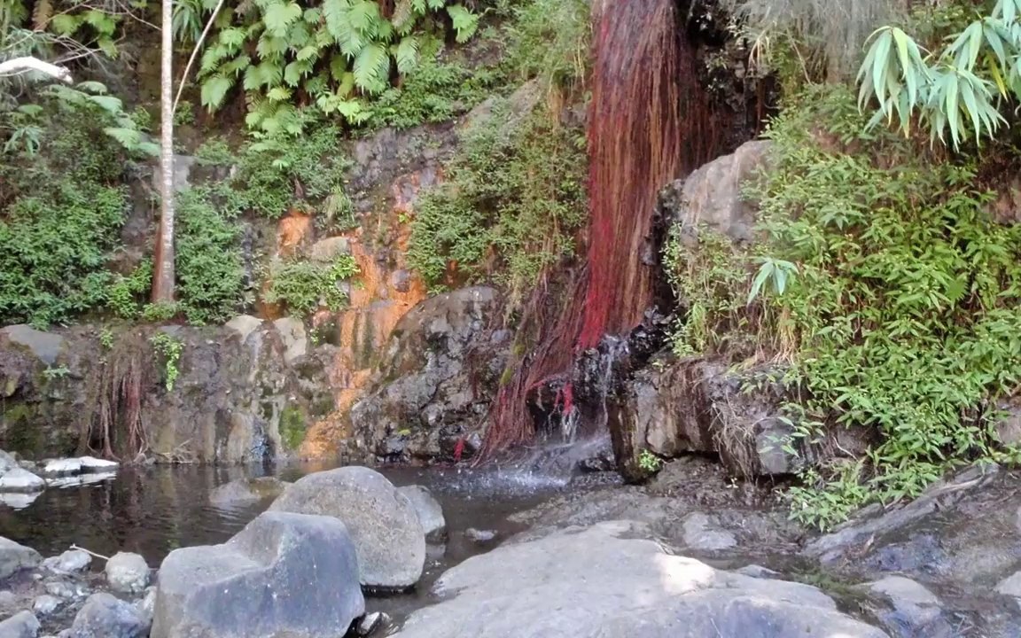 La Réunion, Cilaos , Le Bras Rouge avec Marie-lise et Ginette .