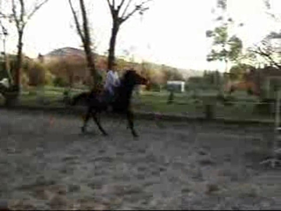 lydiane_0003