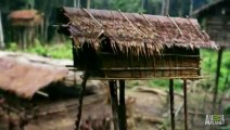 Extraordinary Ancestral Tribal Treehouse in Papua New Guinea