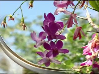 İslam dünyası Hz. Mehdi (a.s.)'ı nasıl tanıyacak