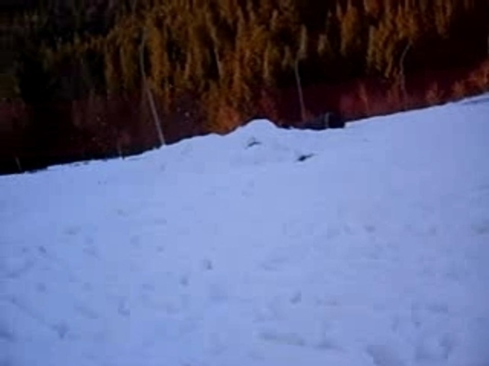 ski cassé