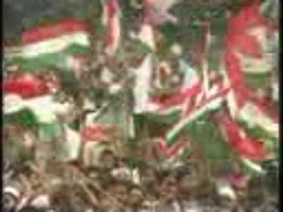 videoplayback_28_mpeg4