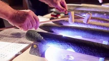 Un concert de "paléomusique"