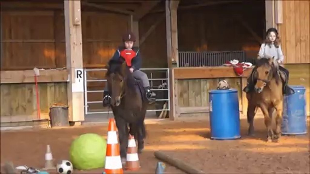 stage poney