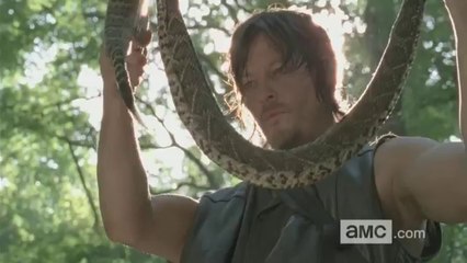 The Walking Dead Season 4 Returns