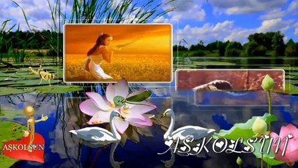 Özdemir Erdoğan - Baharda Kuşlar Gibi (Remix)