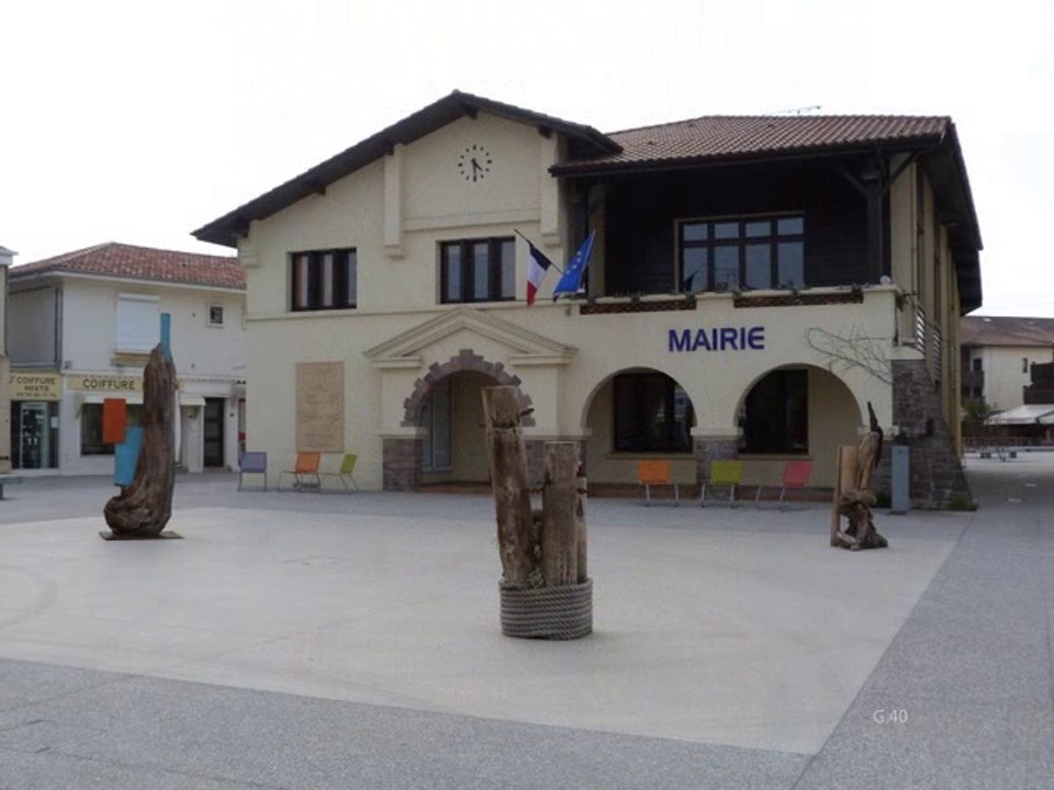VIEUX - BOUCAU  -  Expo de Bois Flotté