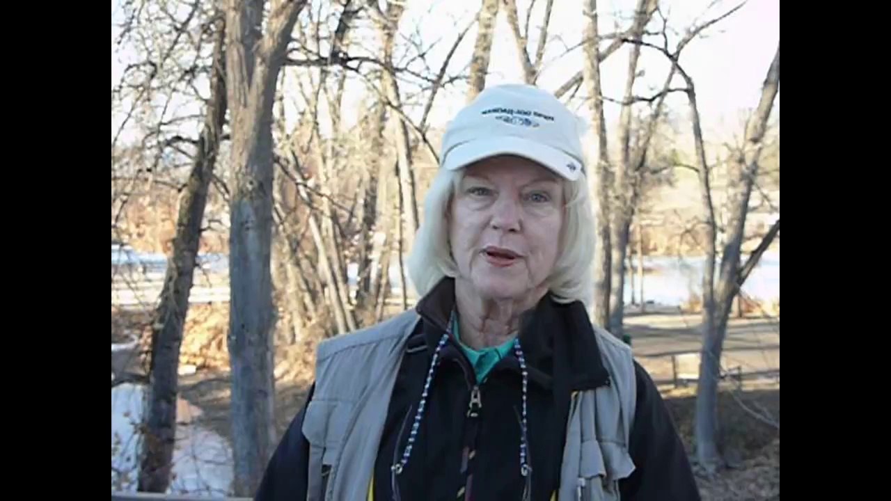 Get Birding Supplies Denver & Bird Watching Denver Reviews