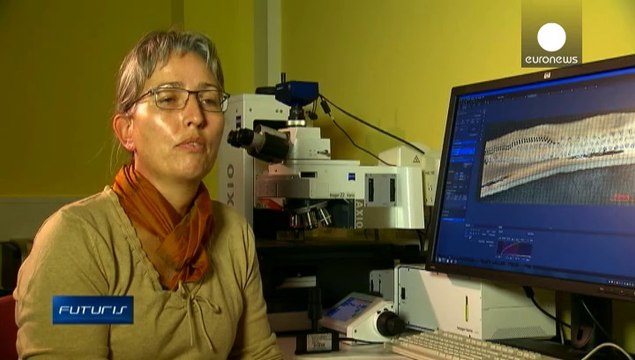 Sulla strada per pneumatici per camion più verdi