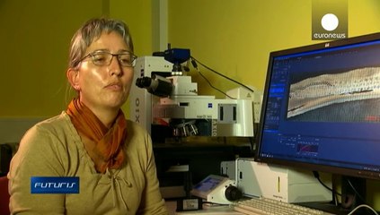 Sulla strada per pneumatici per camion più verdi