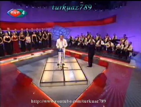 Kenan Baran POLAT-Bir Yaz Günü Tanışmıştık