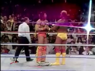 Wrestlemania 6 in 60 seconds