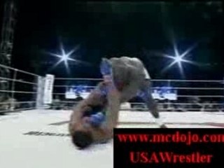 UFC - Best of Bob Sapp