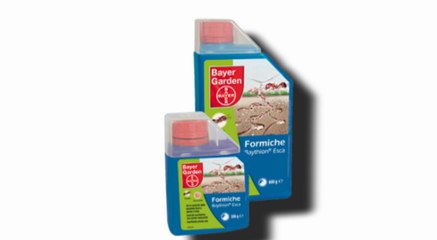 Prodotti per la disinfestazione delle formiche - Disinfestanti Formiche Solfac Gel