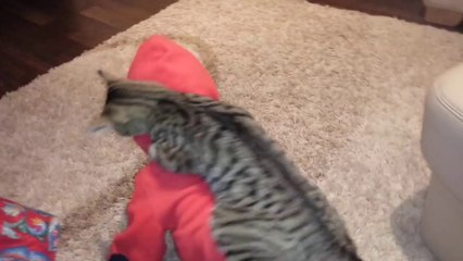 Cowboy Cat Rides Little Girl's Back