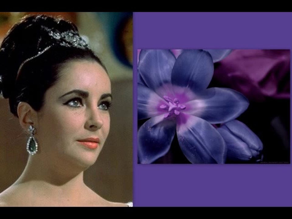 Menekşe Gözlerde -  Zeki Müren