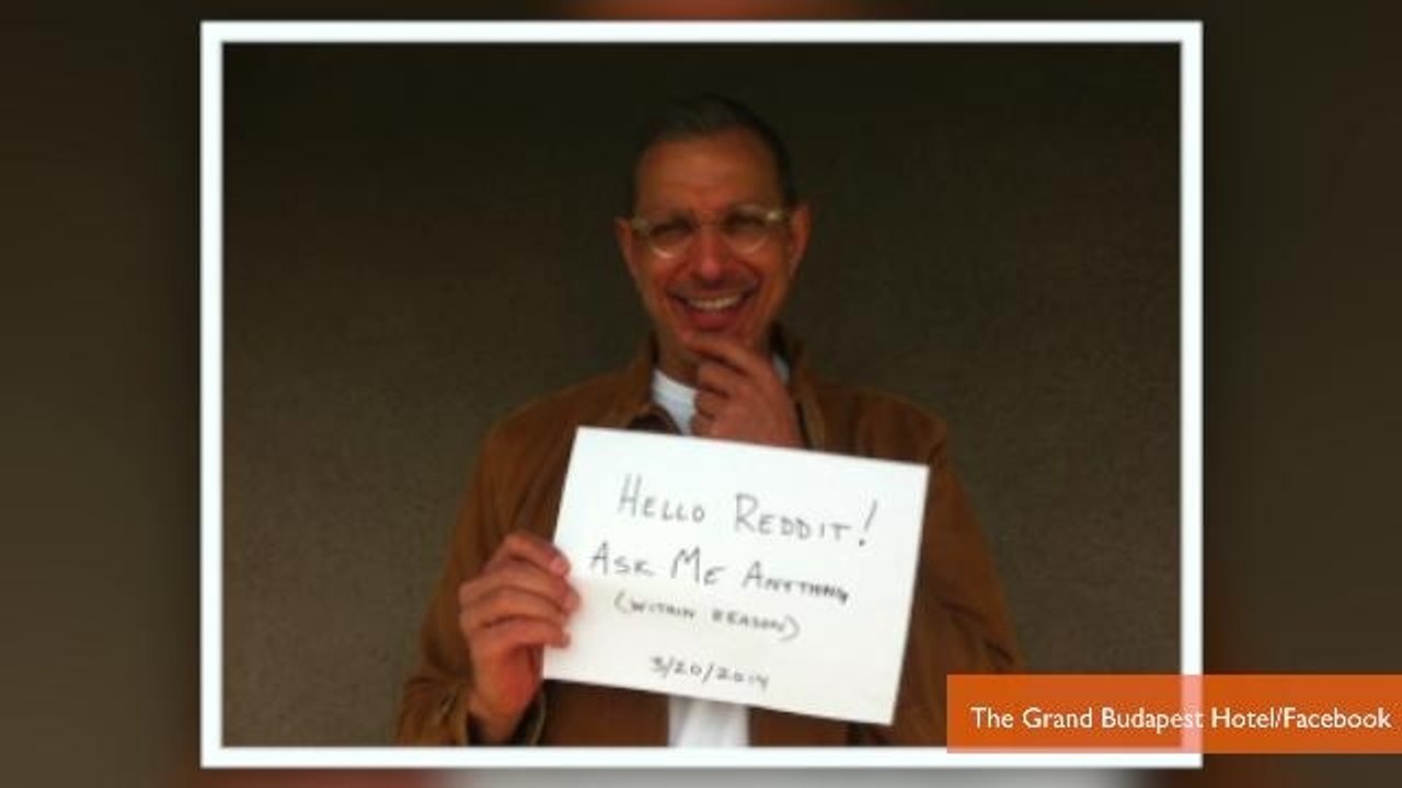 Jeff Goldblum's Reddit AMA is Appropriately Hilarious