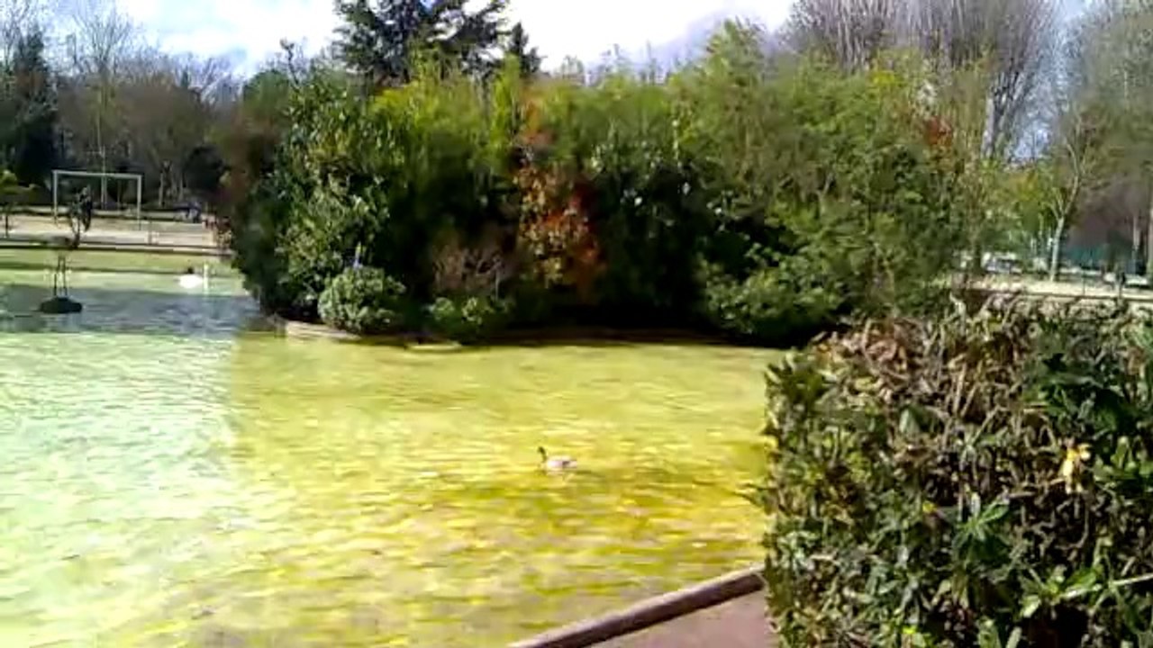 decouverte du parc