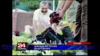 España: singular iniciativa convierte buses en jardines rodantes