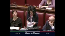 Roma - Camera - 17° Legislatura - 210° seduta (11.04.14)
