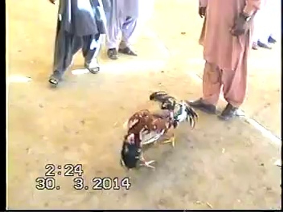 farooq jutt line