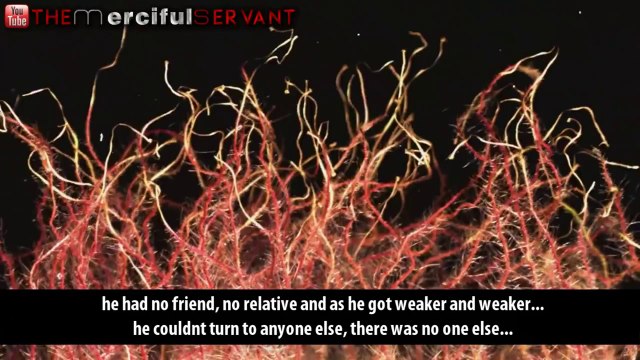 The Repenter ᴴᴰ ┇ Emotional ┇ The Daily Reminder ShazUK (Every Breath we take is a Breath Closer to Death Lets Try To Please Allah Ameen