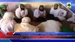 (News 11 March) Madani Halqa, Nigran e Kabina Ki Shirkat, Dumbalo Sindh