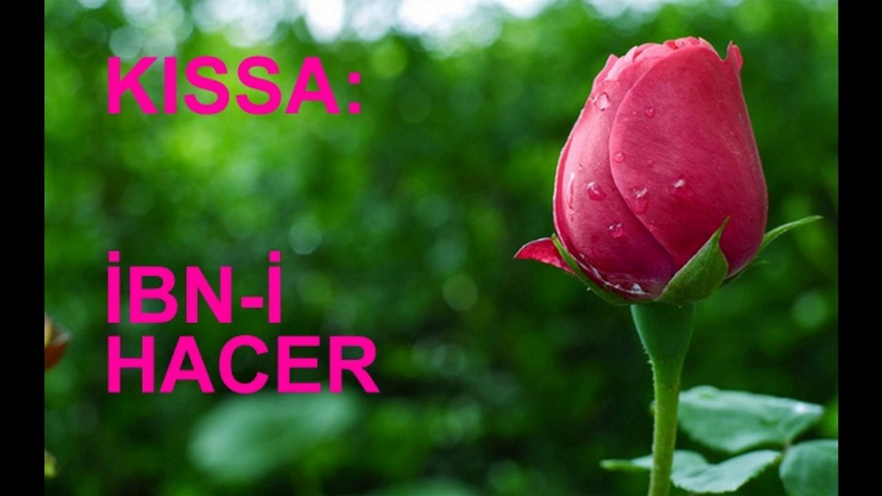 KISSA: TAŞ MI SERT, KAFA MI? (İBN HACER)