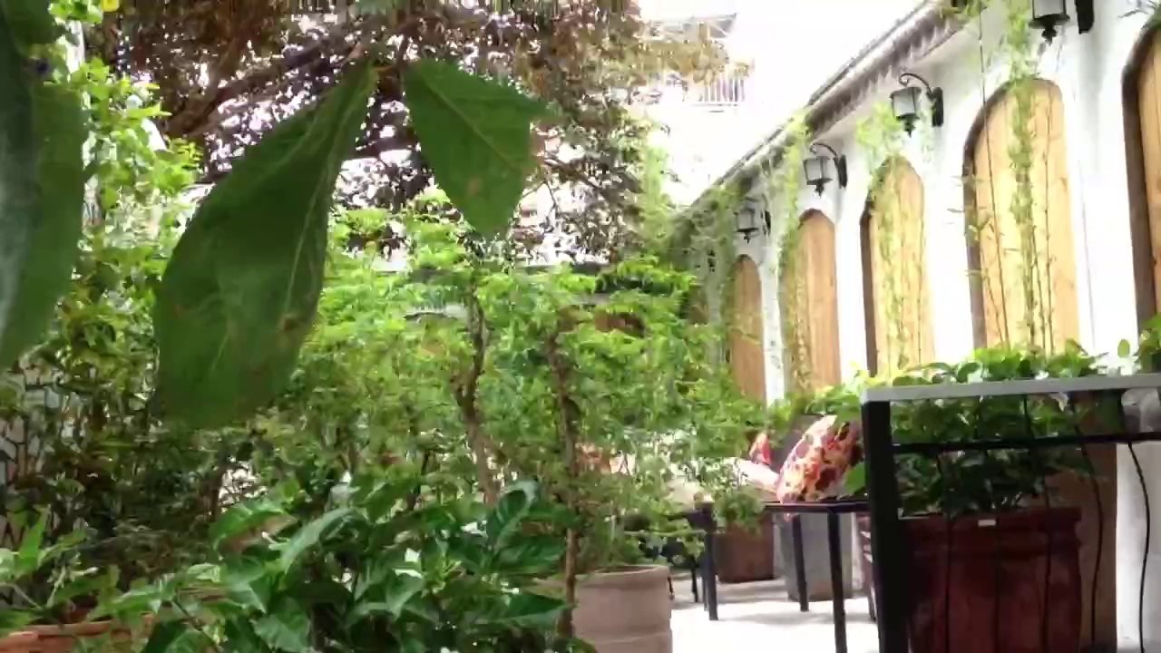 Caphe buỗi sáng..