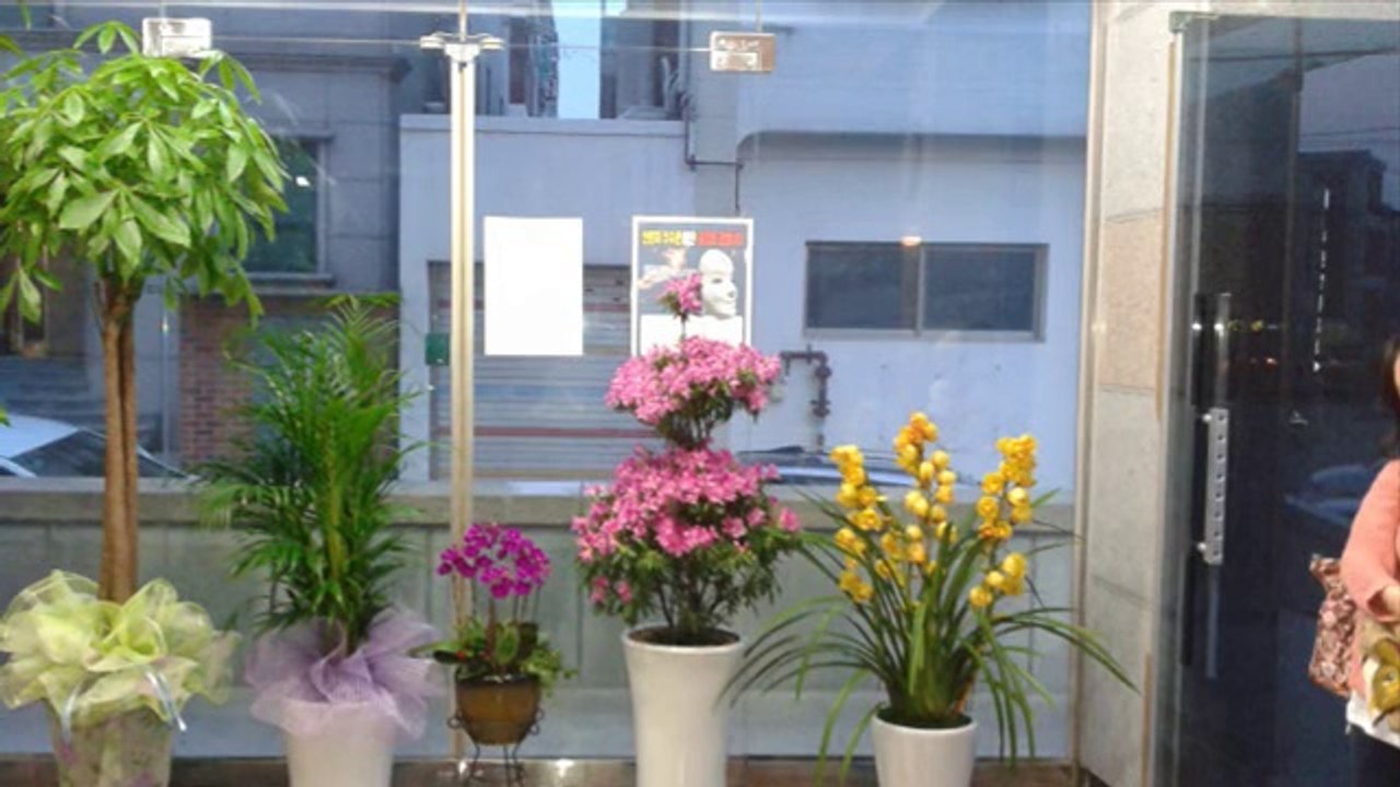 spring
