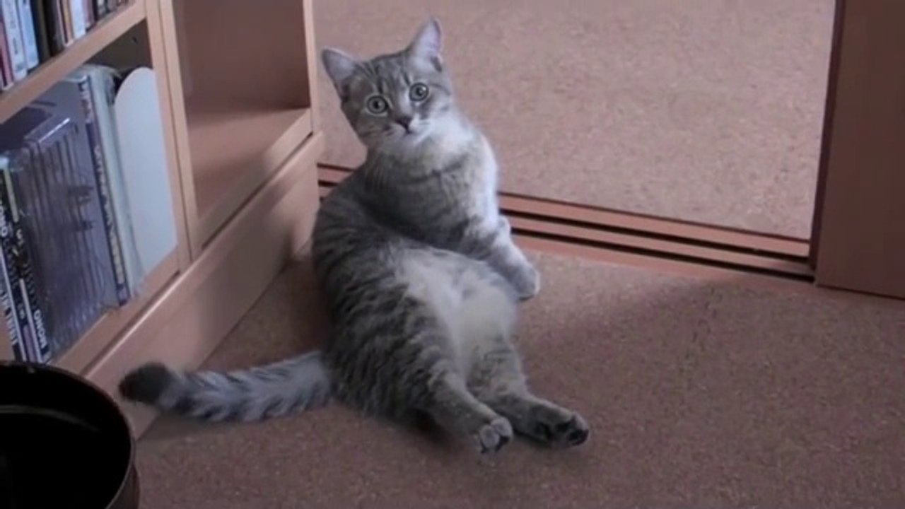 Where is my breakfast?
