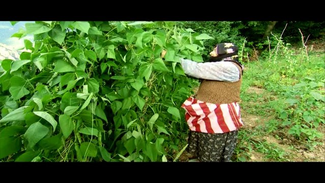 Mahmut Polat - Yaslanmış köyüme sıralı dağlar ( Video Klip )