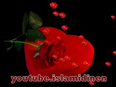 Bir gün Gelir-Eşref Ziya Terzi