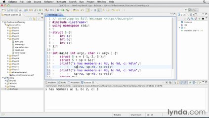 09-Using pointers, members, and indirection operators