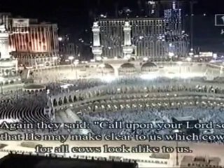 Al-Quran - Al-Baqarah 67-74 (English Translation)