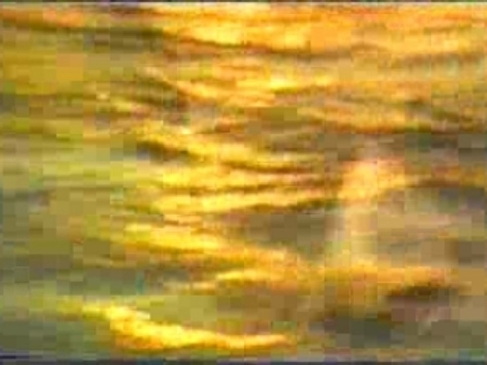 Lsd