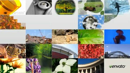 50 Transitions Pack - After Effects Template