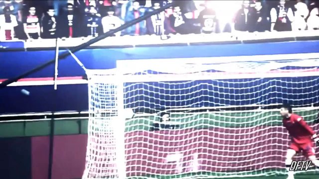 Zlatan Ibrahimovic 2014 ► PSG Skills & Goals HD